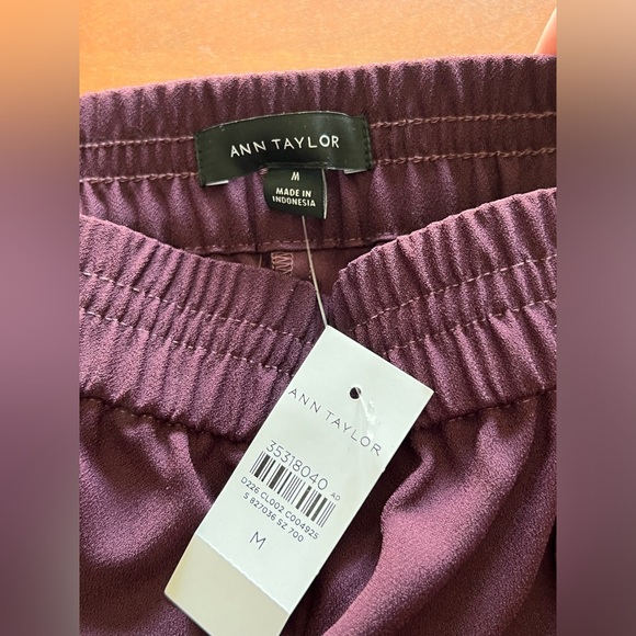 NWT Ann Taylor pull on pant - Picture 3 of 3